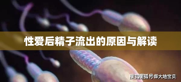 性愛后精子流出的原因與解讀