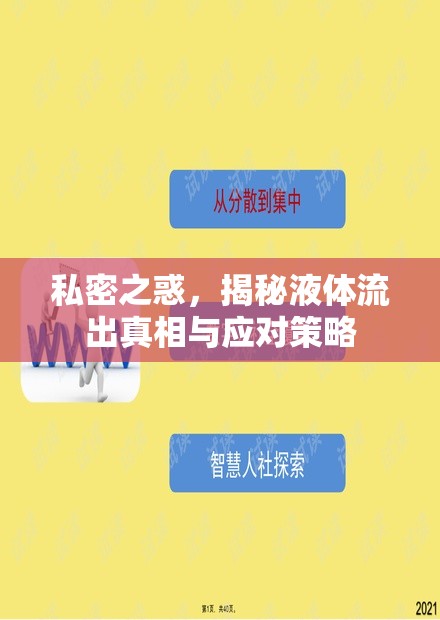 私密之惑，揭秘液體流出真相與應(yīng)對(duì)策略