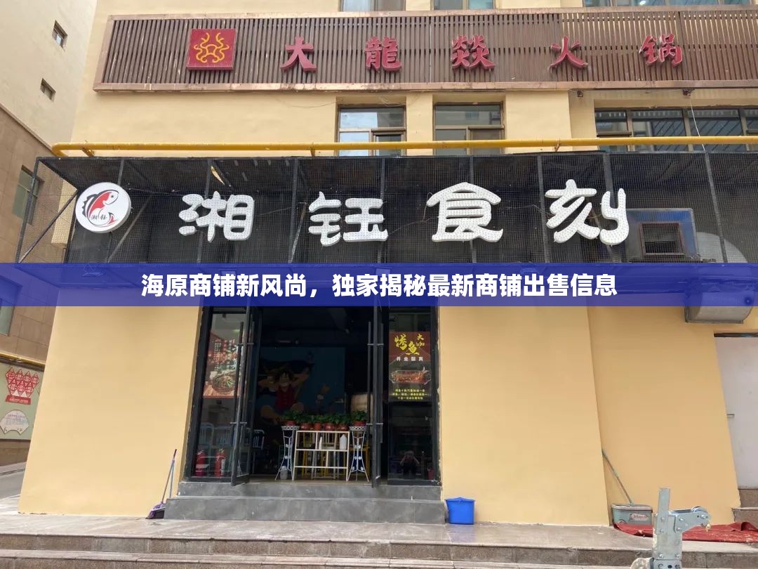 海原商鋪新風尚，獨家揭秘最新商鋪出售信息