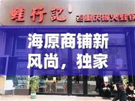 海原商鋪新風尚，獨家揭秘最新商鋪出售信息