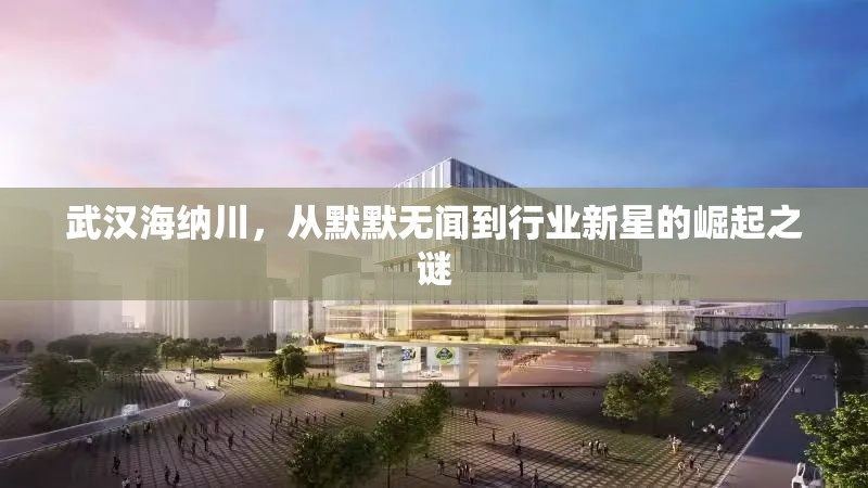 武漢海納川，從默默無聞到行業(yè)新星的崛起之謎