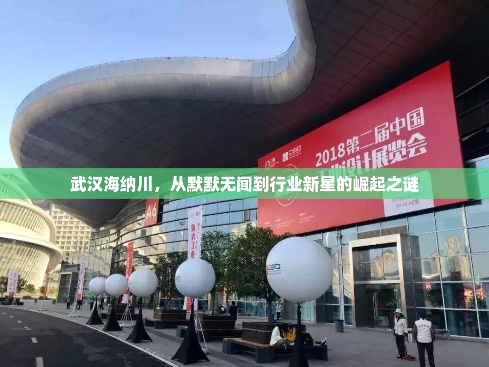 武漢海納川，從默默無聞到行業(yè)新星的崛起之謎