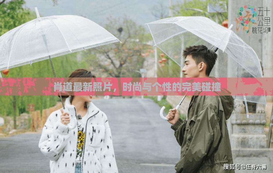 肖道最新照片，時(shí)尚與個(gè)性的完美碰撞