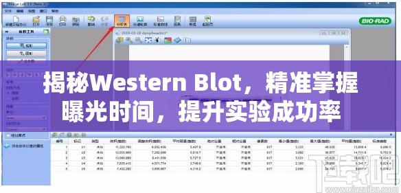 揭秘Western Blot，精準(zhǔn)掌握曝光時(shí)間，提升實(shí)驗(yàn)成功率