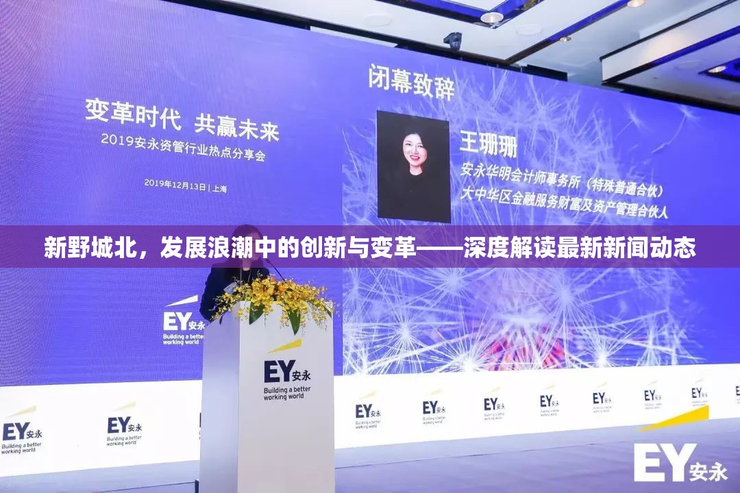 新野城北，發(fā)展浪潮中的創(chuàng)新與變革——深度解讀最新新聞動態(tài)