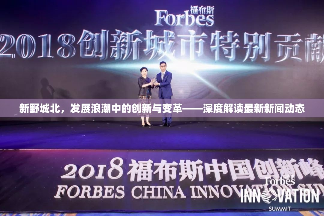 新野城北，發(fā)展浪潮中的創(chuàng)新與變革——深度解讀最新新聞動態(tài)