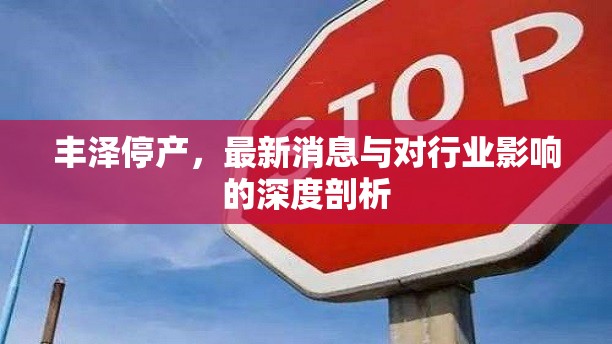 豐澤停產(chǎn)，最新消息與對行業(yè)影響的深度剖析