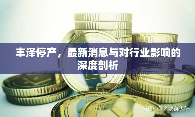豐澤停產(chǎn)，最新消息與對行業(yè)影響的深度剖析