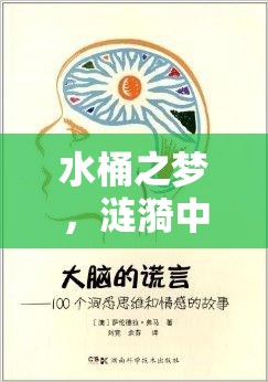 水桶之夢(mèng)，漣漪中的情感與思考