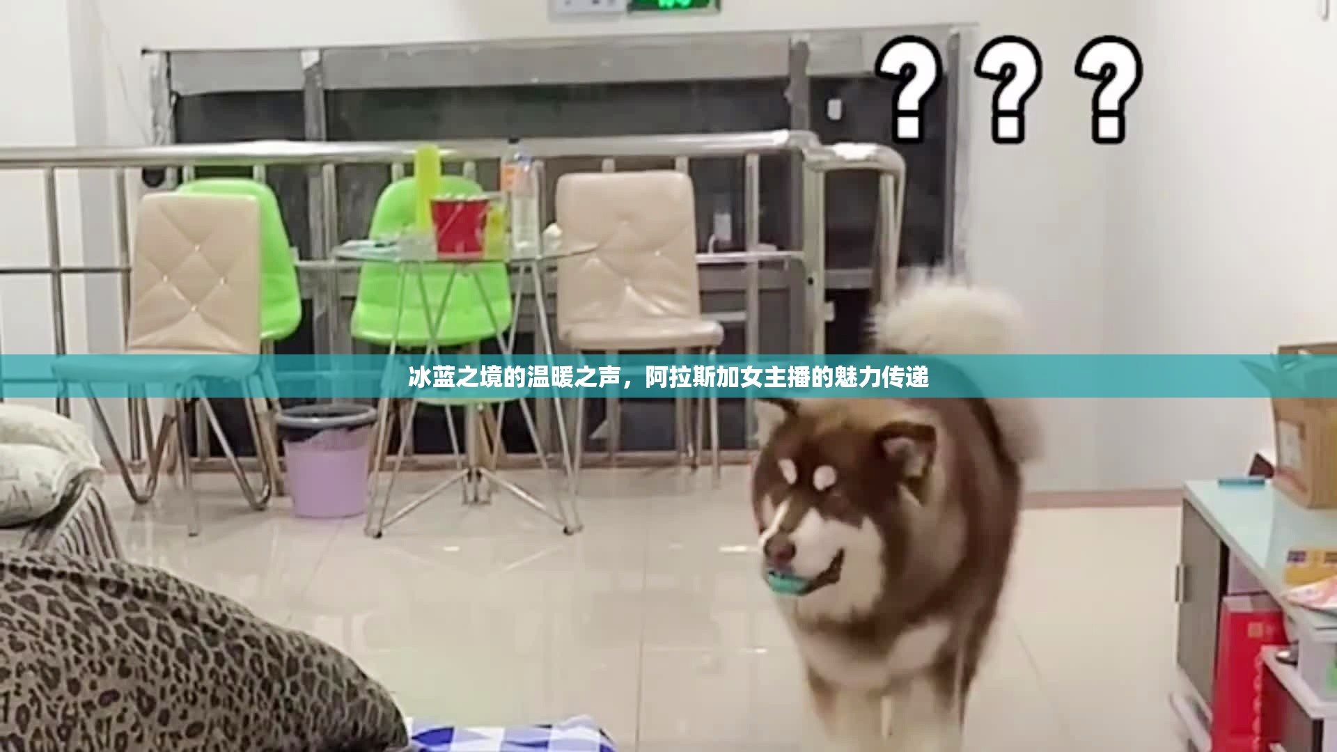冰藍(lán)之境的溫暖之聲，阿拉斯加女主播的魅力傳遞