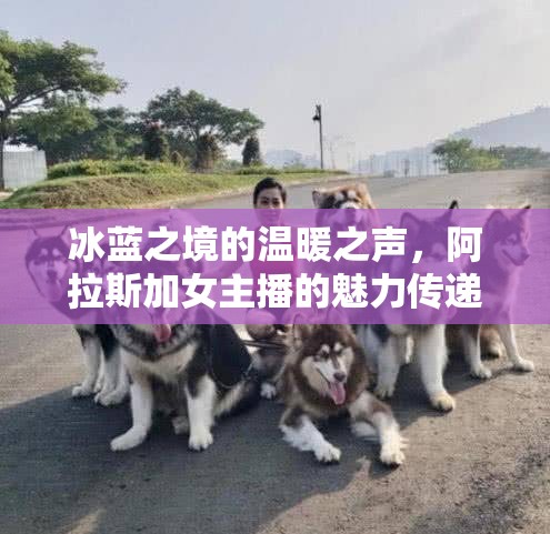 冰藍(lán)之境的溫暖之聲，阿拉斯加女主播的魅力傳遞
