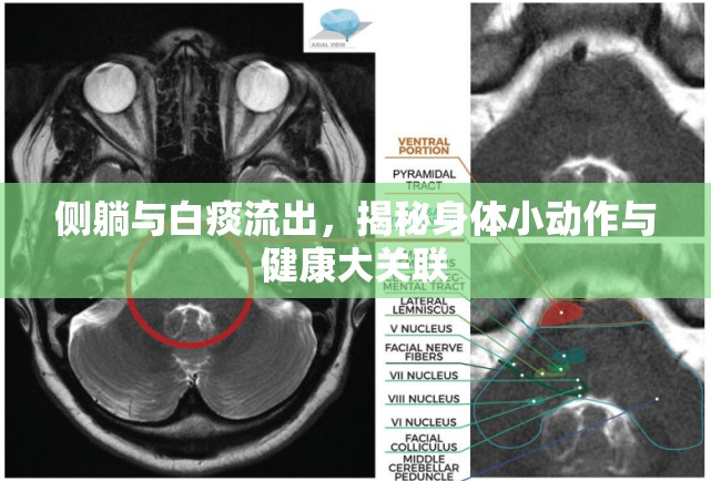 側躺與白痰流出，揭秘身體小動作與健康大關聯
