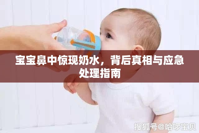 寶寶鼻中驚現(xiàn)奶水，背后真相與應(yīng)急處理指南