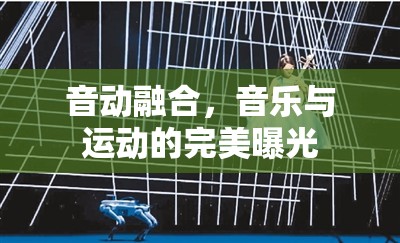 音動融合，音樂與運動的完美曝光