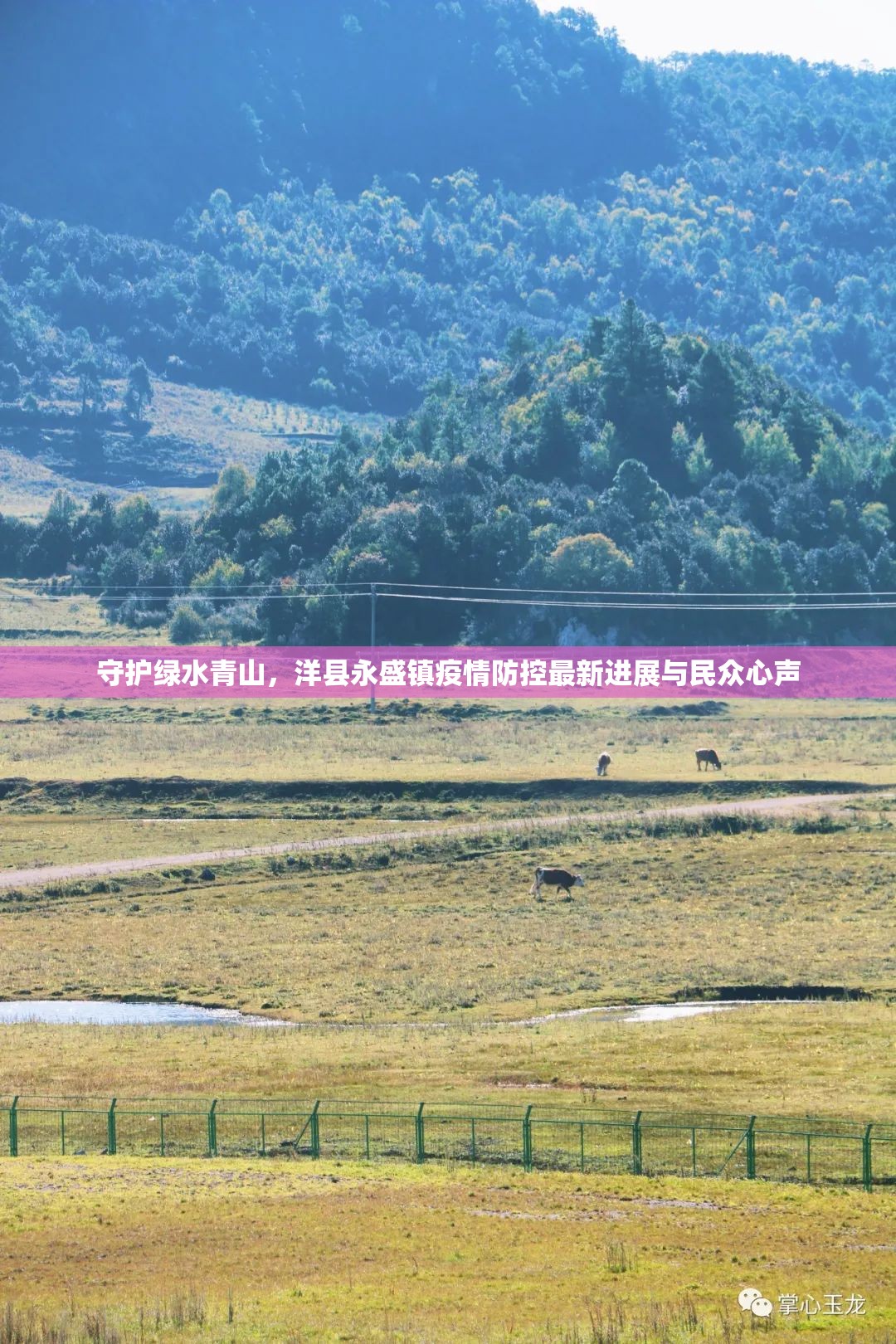 守護(hù)綠水青山，洋縣永盛鎮(zhèn)疫情防控最新進(jìn)展與民眾心聲