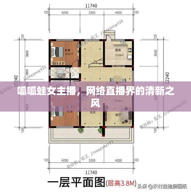 呱呱蛙女主播，網(wǎng)絡(luò)直播界的清新之風(fēng)