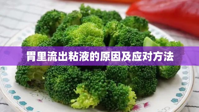 胃里流出粘液的原因及應(yīng)對(duì)方法