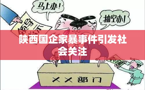 陜西國(guó)企家暴事件引發(fā)社會(huì)關(guān)注