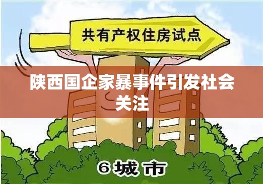 陜西國(guó)企家暴事件引發(fā)社會(huì)關(guān)注