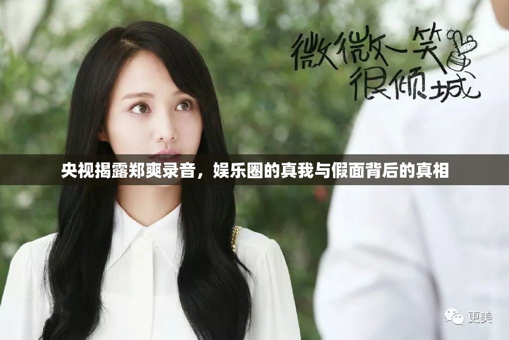 央視揭露鄭爽錄音，娛樂圈的真我與假面背后的真相
