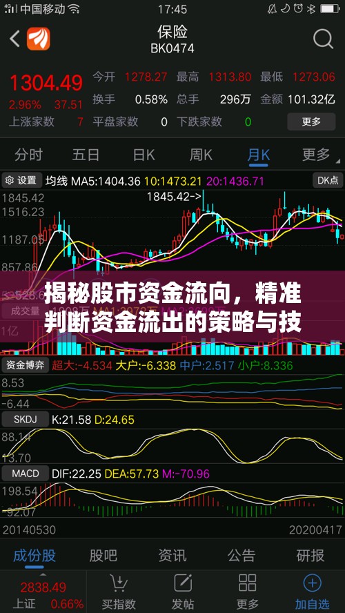 揭秘股市資金流向，精準(zhǔn)判斷資金流出的策略與技巧