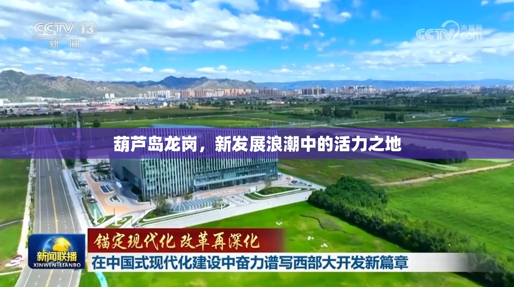 葫蘆島龍崗，新發(fā)展浪潮中的活力之地