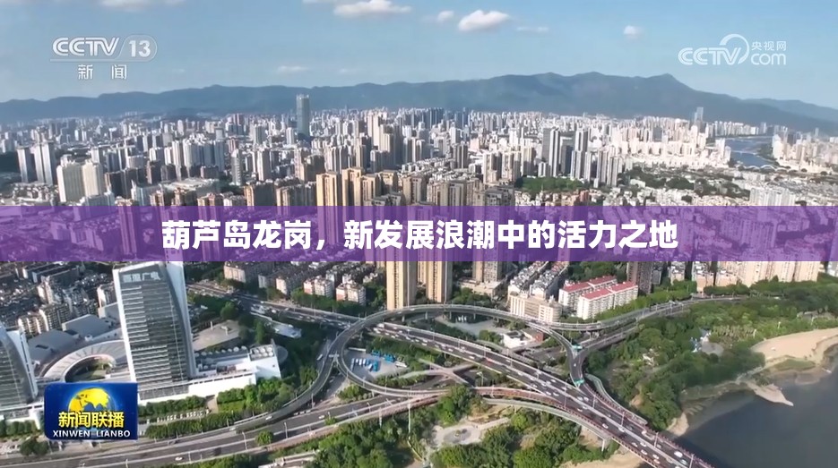 葫蘆島龍崗，新發(fā)展浪潮中的活力之地