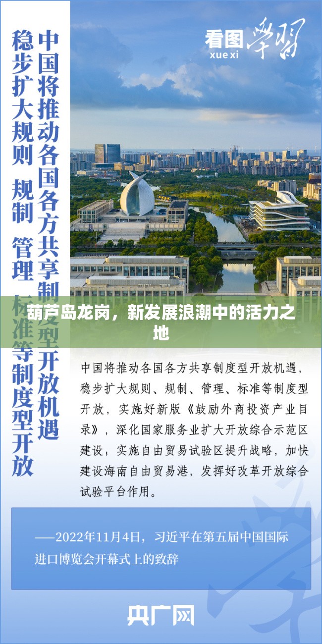 葫蘆島龍崗，新發(fā)展浪潮中的活力之地