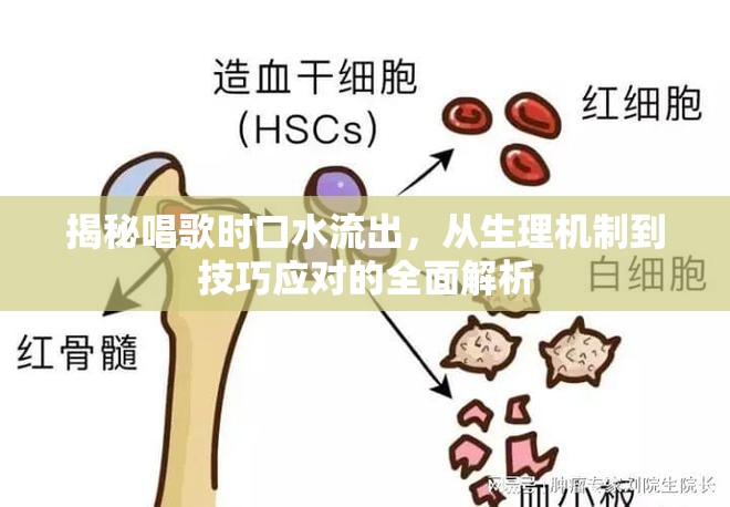 揭秘唱歌時口水流出，從生理機制到技巧應(yīng)對的全面解析