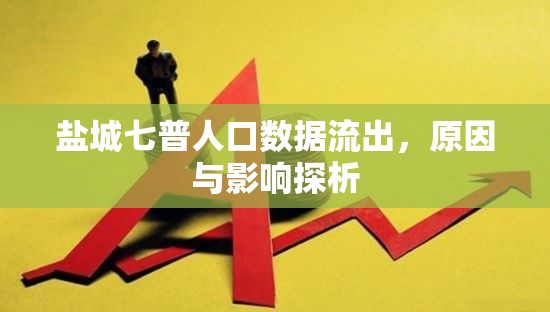鹽城七普人口數(shù)據(jù)流出，原因與影響探析