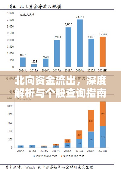 北向資金流出，深度解析與個(gè)股查詢指南