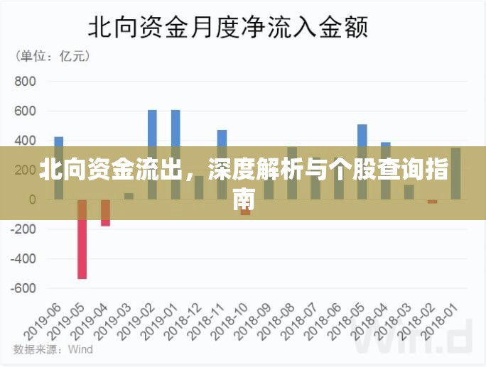北向資金流出，深度解析與個(gè)股查詢指南