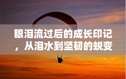 眼淚流過后的成長印記，從淚水到堅韌的蛻變