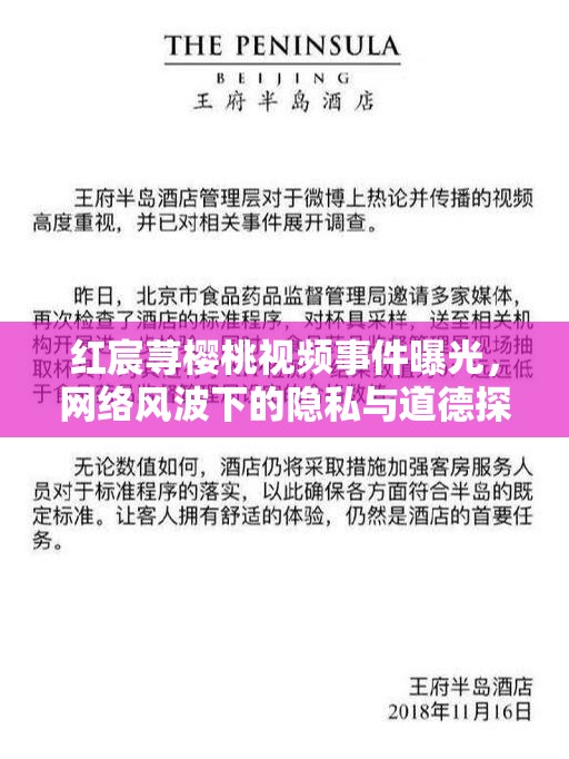 紅宸蕁櫻桃視頻事件曝光，網(wǎng)絡(luò)風(fēng)波下的隱私與道德探討