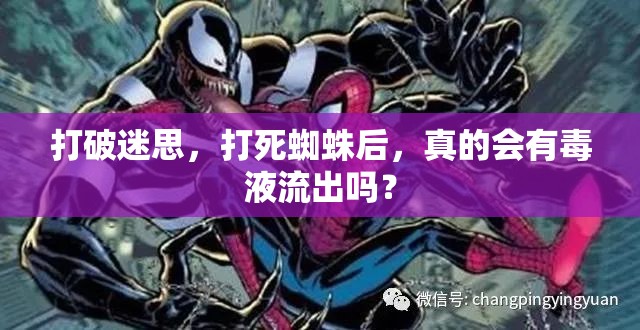 打破迷思，打死蜘蛛后，真的會(huì)有毒液流出嗎？