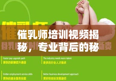 催乳師培訓視頻揭秘，專業(yè)背后的秘密與挑戰(zhàn)