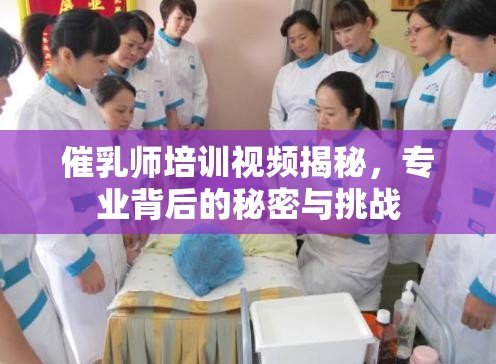 催乳師培訓視頻揭秘，專業(yè)背后的秘密與挑戰(zhàn)