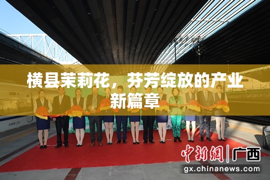 橫縣茉莉花，芬芳綻放的產(chǎn)業(yè)新篇章