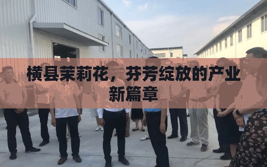 橫縣茉莉花，芬芳綻放的產(chǎn)業(yè)新篇章