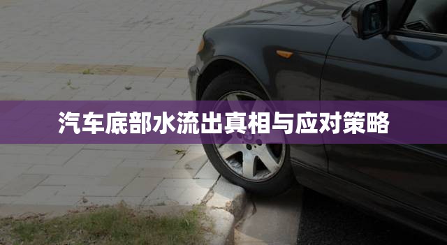 汽車底部水流出真相與應(yīng)對(duì)策略