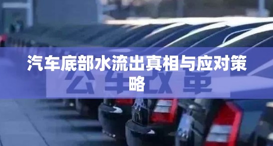 汽車底部水流出真相與應(yīng)對(duì)策略