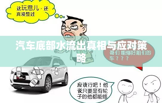 汽車底部水流出真相與應(yīng)對(duì)策略