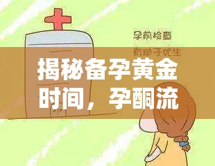 揭秘備孕黃金時間，孕酮流出的最佳時機(jī)