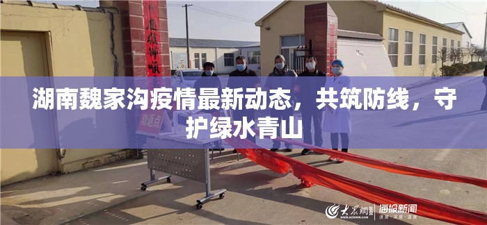 湖南魏家溝疫情最新動(dòng)態(tài)，共筑防線，守護(hù)綠水青山
