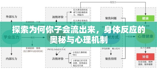 探索為何你子會流出來，身體反應(yīng)的奧秘與心理機制