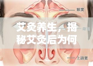 艾灸養(yǎng)生，揭秘艾灸后為何常伴有鼻涕流出