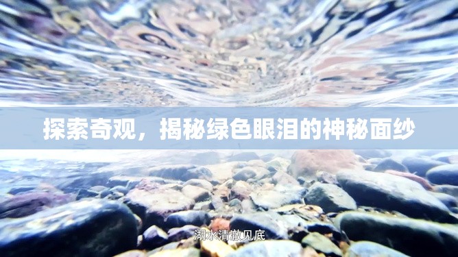 探索奇觀，揭秘綠色眼淚的神秘面紗