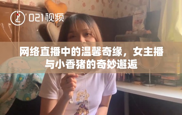 網(wǎng)絡(luò)直播中的溫馨奇緣，女主播與小香豬的奇妙邂逅