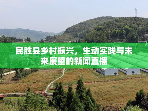 民勝縣鄉(xiāng)村振興，生動(dòng)實(shí)踐與未來展望的新聞直播