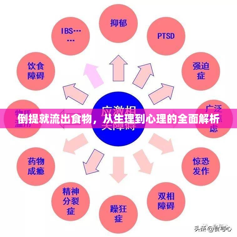 倒提就流出食物，從生理到心理的全面解析